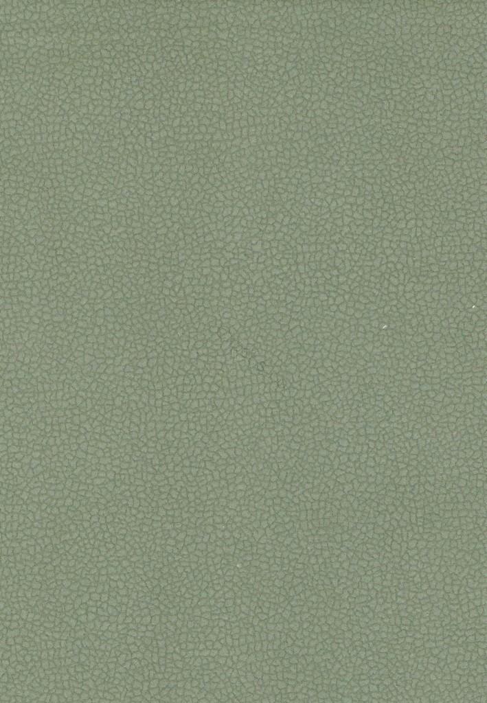 Carabu HP C/77